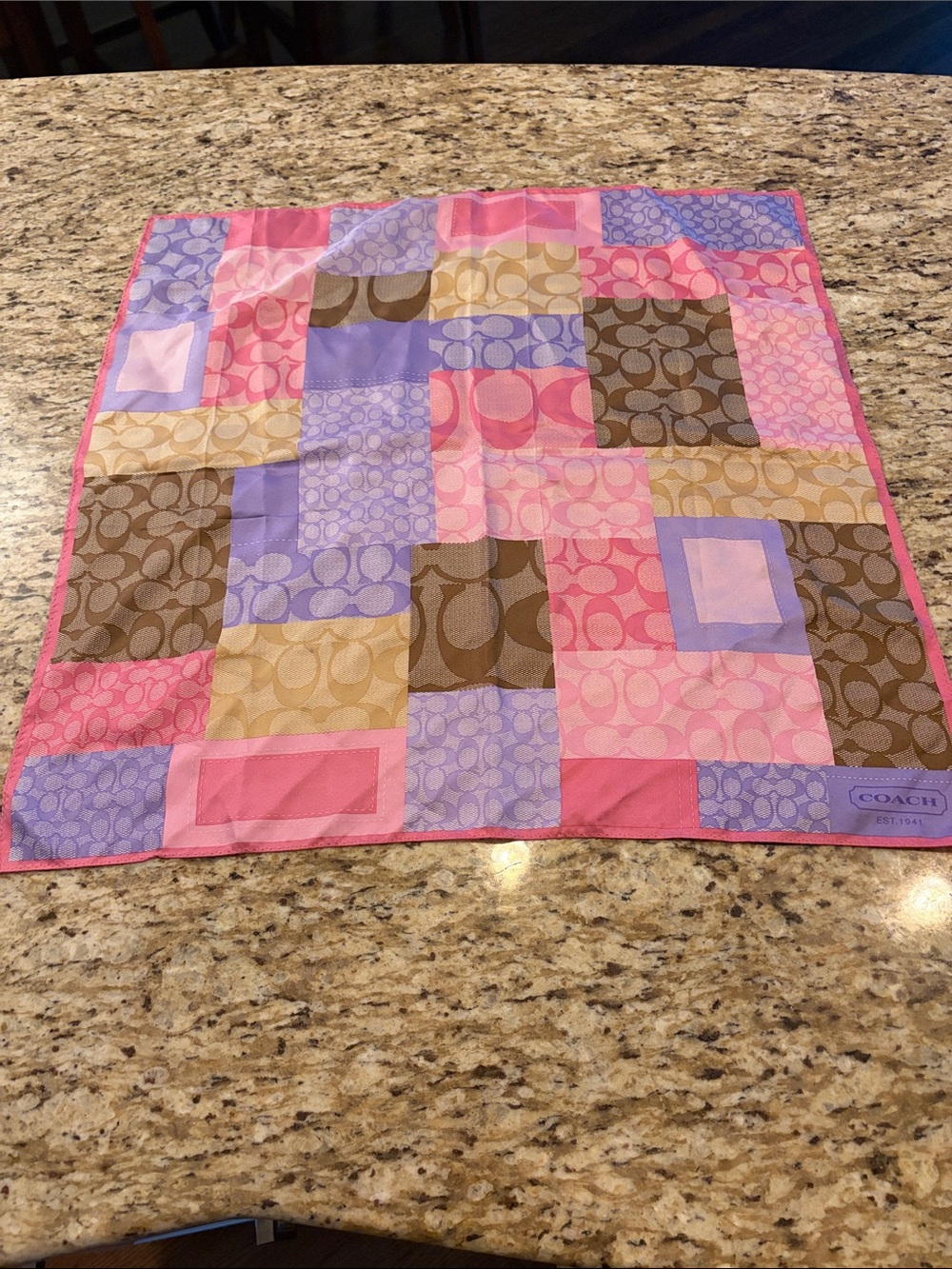Silk Coach Scarf